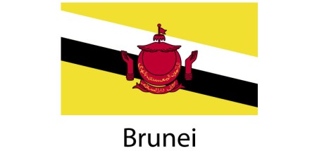 Brunei Flag sticker die-cut decals