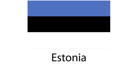 Estonia Flag sticker die-cut decals