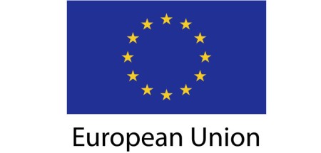European Union Flag sticker die-cut decals
