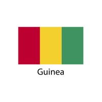Guinea Flag sticker die-cut decals