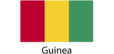 Guinea Flag sticker die-cut decals