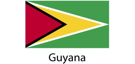 Guyana Flag sticker die-cut decals