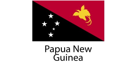 Papua New Guinea Flag sticker die-cut decals