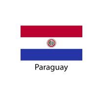 Paraguay Flag sticker die-cut decals