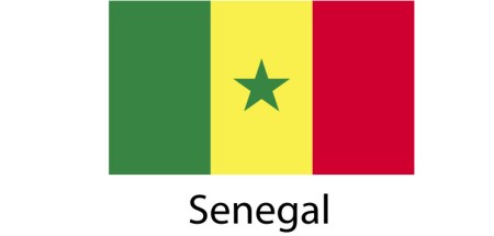 Senegal Flag sticker die-cut decals