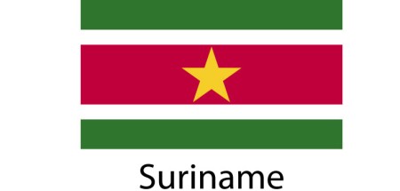 Suriname Flag sticker die-cut decals