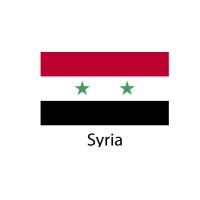 Syria Flag sticker die-cut decals