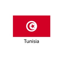 Tunisia Flag sticker die-cut decals