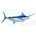 Blue Marlin Decal