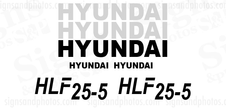 Hyundai HLF 25-5