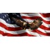 Rear Window Graphic Patriotic. USA Flag and Bald Eagle