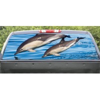Rear Windows Graphics Dolphin