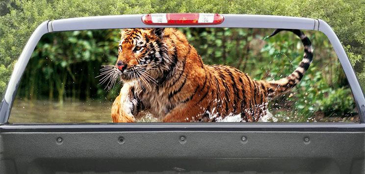 Rear Windows Graphics Tiger Attack
