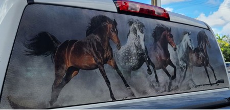 Rear Window Graphic Run horses 5
