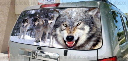 Rear Window Graphic Pack of wolves